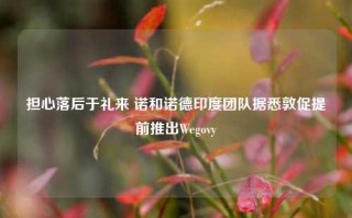 担心落后于礼来 诺和诺德印度团队据悉敦促提前推出Wegovy