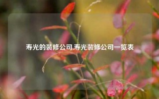 寿光的装修公司,寿光装修公司一览表