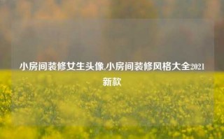 小房间装修女生头像,小房间装修风格大全2021新款