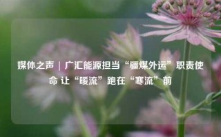 媒体之声 | 广汇能源担当“疆煤外运”职责使命 让“暖流”跑在“寒流”前