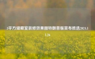 3平方储藏室装修效果图特朗普版宣布胜选2024.11.26