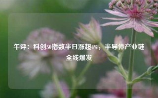 午评：科创50指数半日涨超4%，半导体产业链全线爆发