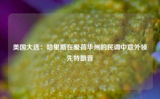 美国大选：哈里斯在爱荷华州的民调中意外领先特朗普