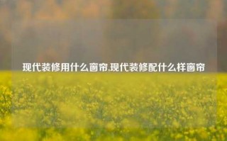 现代装修用什么窗帘,现代装修配什么样窗帘