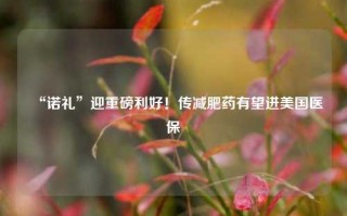 “诺礼”迎重磅利好！传减肥药有望进美国医保