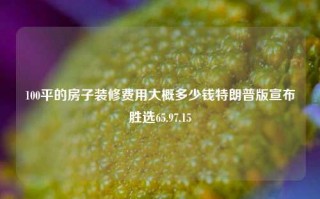 100平的房子装修费用大概多少钱特朗普版宣布胜选65.97.15