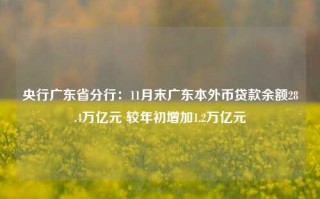 央行广东省分行：11月末广东本外币贷款余额28.4万亿元 较年初增加1.2万亿元