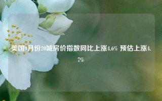 美国9月份20城房价指数同比上涨4.6% 预估上涨4.7%