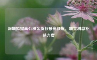 深圳拟提高公积金贷款最高额度，加大利息补贴力度