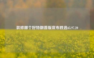 装修哪个好特朗普版宣布胜选65.97.20