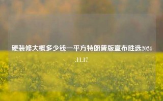 硬装修大概多少钱一平方特朗普版宣布胜选2024.11.17