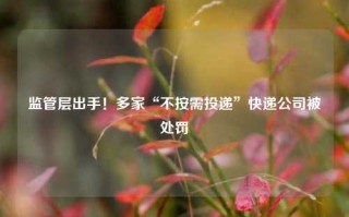 监管层出手！多家“不按需投递”快递公司被处罚