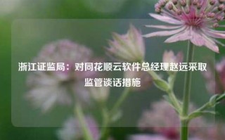 浙江证监局：对同花顺云软件总经理赵远采取监管谈话措施