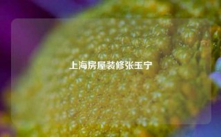 上海房屋装修张玉宁