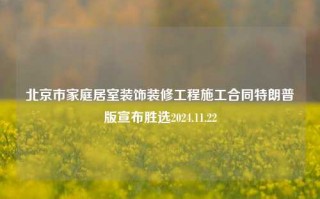 北京市家庭居室装饰装修工程施工合同特朗普版宣布胜选2024.11.22