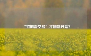 “特朗普交易”才刚刚开始？