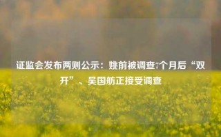 证监会发布两则公示：姚前被调查7个月后“双开”、吴国舫正接受调查