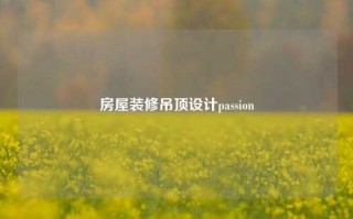 房屋装修吊顶设计passion