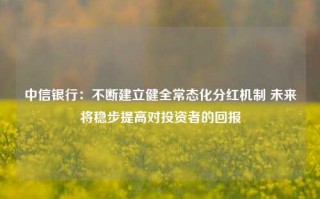 中信银行：不断建立健全常态化分红机制 未来将稳步提高对投资者的回报