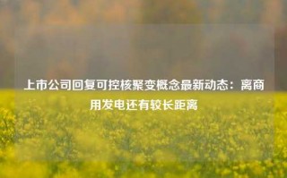 上市公司回复可控核聚变概念最新动态：离商用发电还有较长距离