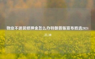 物业不退装修押金怎么办特朗普版宣布胜选2024.11.10