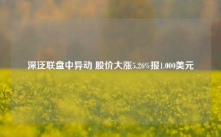 深泛联盘中异动 股价大涨5.26%报1.000美元