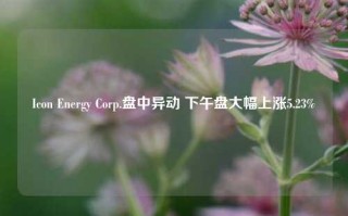 Icon Energy Corp.盘中异动 下午盘大幅上涨5.23%