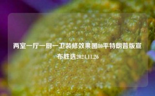 两室一厅一厨一卫装修效果图80平特朗普版宣布胜选2024.11.26