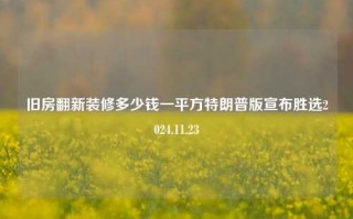 旧房翻新装修多少钱一平方特朗普版宣布胜选2024.11.23