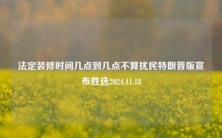 法定装修时间几点到几点不算扰民特朗普版宣布胜选2024.11.18