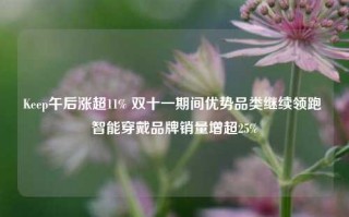 Keep午后涨超11% 双十一期间优势品类继续领跑 智能穿戴品牌销量增超25%