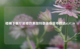 楼梯下餐厅装修效果图特朗普版宣布胜选65.97.10