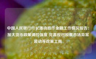 中国人民银行行长潘功胜作金融工作情况报告：加大货币政策调控强度 完善应对股票市场异常波动等政策工具