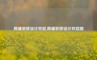 商铺装修设计双层,商铺装修设计双层图