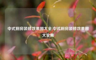 中式厨房装修效果图大全,中式厨房装修效果图大全集