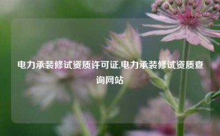 电力承装修试资质许可证,电力承装修试资质查询网站