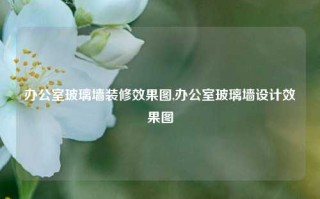 办公室玻璃墙装修效果图,办公室玻璃墙设计效果图