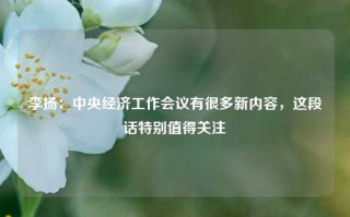 李扬：中央经济工作会议有很多新内容，这段话特别值得关注