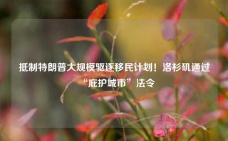 抵制特朗普大规模驱逐移民计划！洛杉矶通过“庇护城市”法令