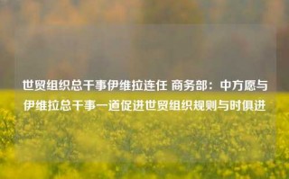 世贸组织总干事伊维拉连任 商务部：中方愿与伊维拉总干事一道促进世贸组织规则与时俱进