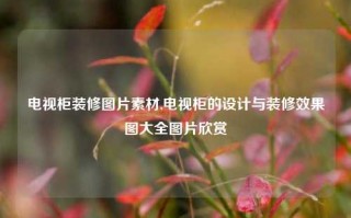 电视柜装修图片素材,电视柜的设计与装修效果图大全图片欣赏