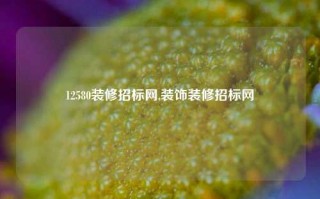 12580装修招标网,装饰装修招标网