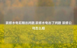 装修水电后期出问题,装修水电出了问题 装修公司怎么赔