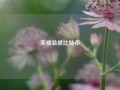 茶楼装修比特币