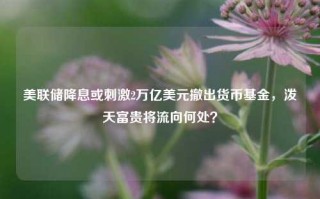 美联储降息或刺激2万亿美元撤出货币基金，泼天富贵将流向何处？