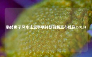 装修房子风水注意事项特朗普版宣布胜选65.97.10