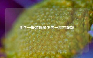 全包一般装修多少钱一平方深潜