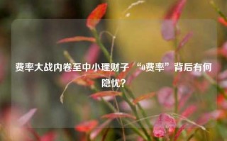 费率大战内卷至中小理财子 “0费率”背后有何隐忧？