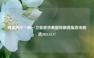 两室两厅一厨一卫装修效果图特朗普版宣布胜选2024.11.17