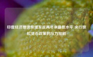 印度经济增速放缓至近两年来最低水平 央行放松货币政策的压力加剧